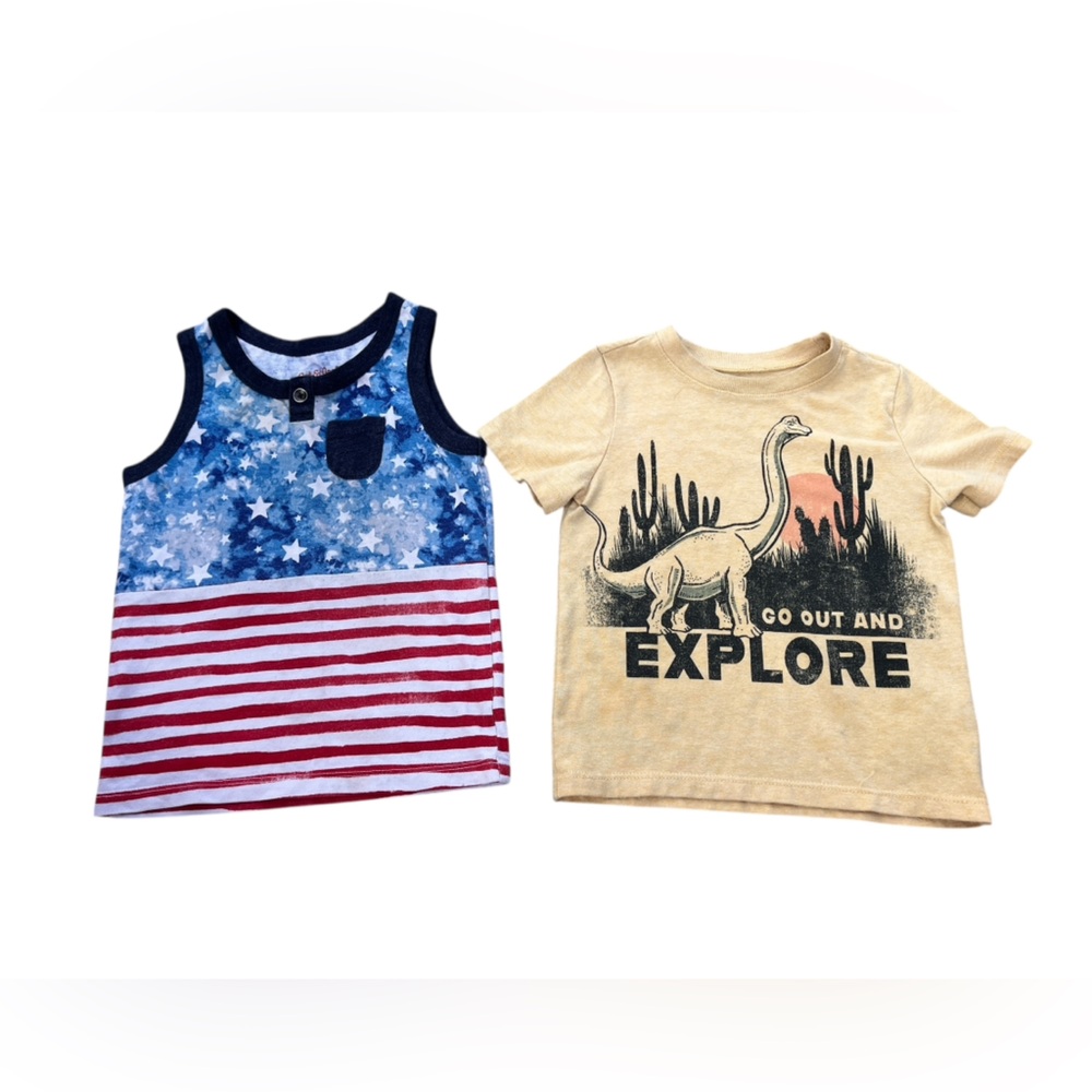 Bundle of Toddler Boys Summer Tops Size 2T